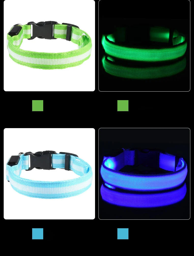 PetsCare LED Night Safety