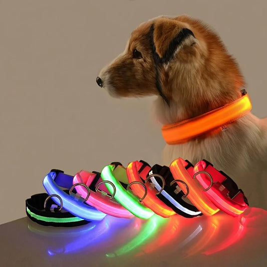 PetsCare LED Night Safety