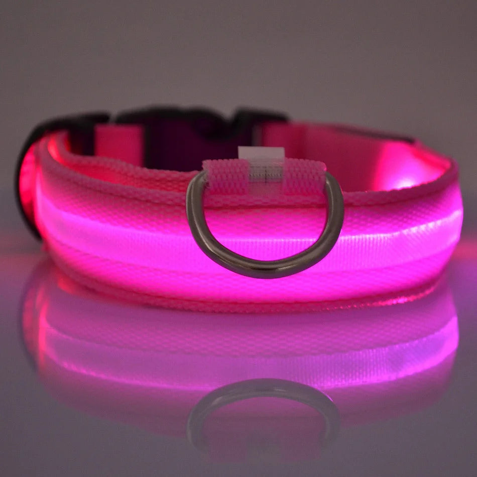 PetsCare LED Night Safety