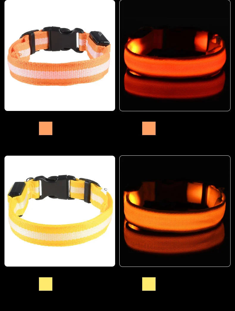 PetsCare LED Night Safety