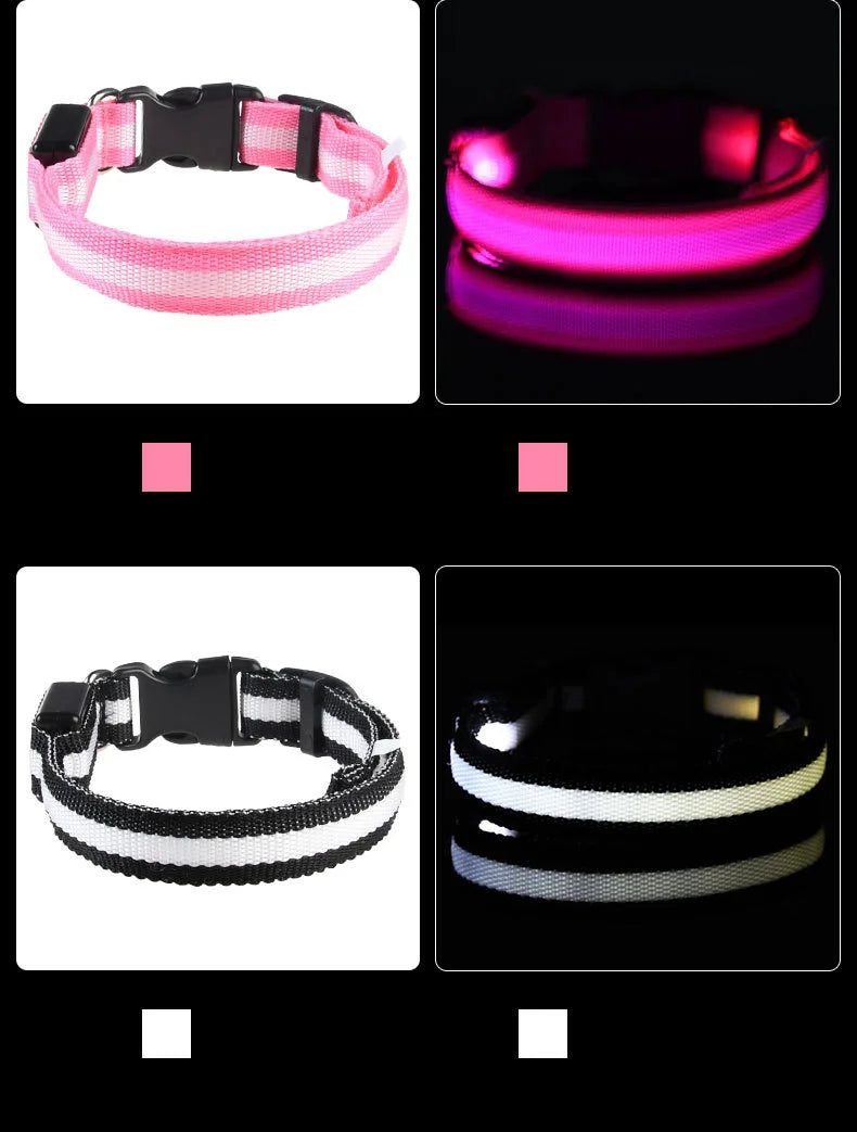 PetsCare LED Night Safety