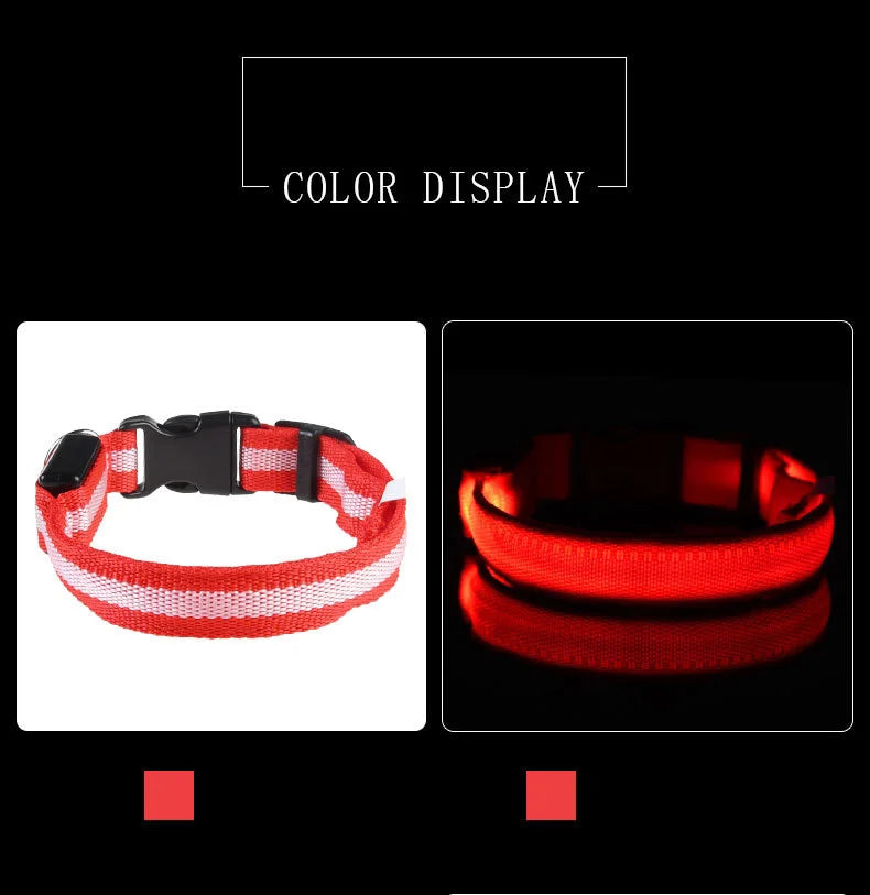 PetsCare LED Night Safety